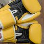 Fairtex 10oz Gloves Image 2