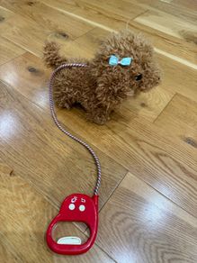 Walking toy puppy