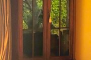 Corner cabinet