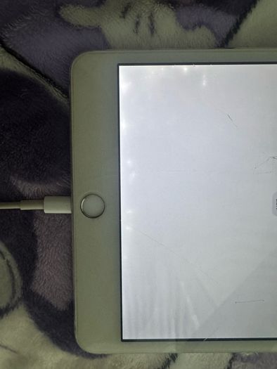 ipad mini 4 128GB