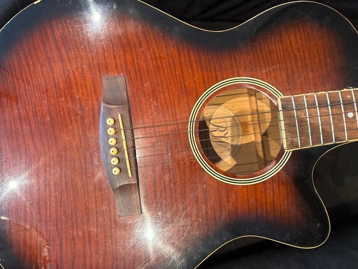 Richwood Artist Series electro-acoustic guitar and case
