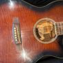 Richwood Artist Series electro-acoustic guitar and case Image 2