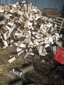 Firewood