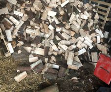 Firewood