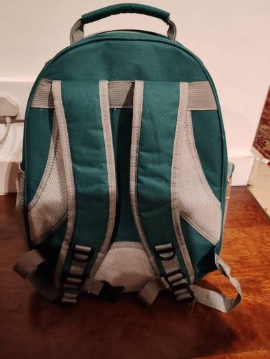 Astronaut pet carry bag