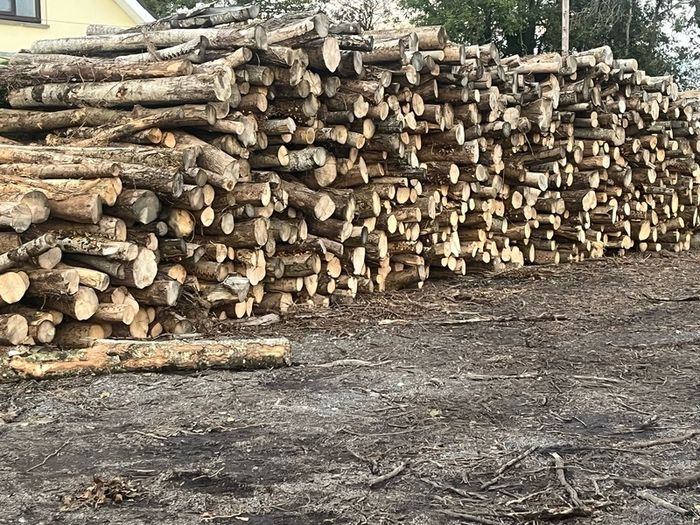 hardwood firewood