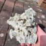 marine rocks Image 7