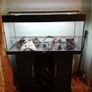 Two Beautiful Fish Aquariums A JEWEL Rio 180 and a JEWEL Trigon 350 Image 3
