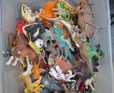 Bulk of animals