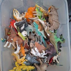 Bulk of animals