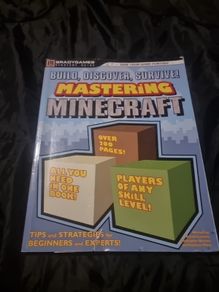 BRADY GAMES Build Discover Survive! Mastering Minecraft Michael Lummis Paperback
