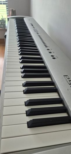 Technics Digital Piano 88 key