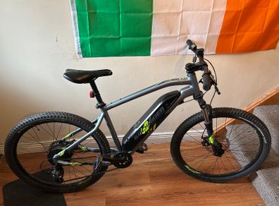 Electric bike