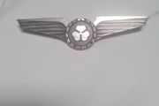Vintage air lingus pilot wings