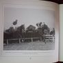 Vincent O Brien / The National Hunt Years /1st edition/ 1992 Image 7