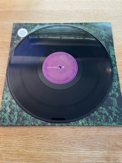 Orbital - Rest & Play ( Frenetic & Chime Live Style Remix) - 12" Vinyl EP - 2002 FFRR Recordings