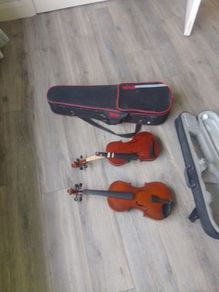 violin