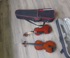 violin