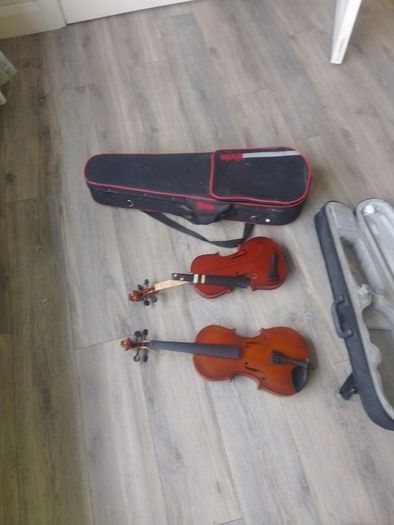 violin