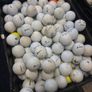100 Golf Balls Image 3