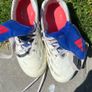 adidas predator Image 2