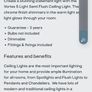 Ceiling light Image 2