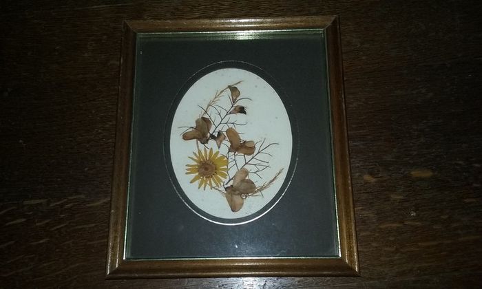 Wall Frame with Dried Flowers
