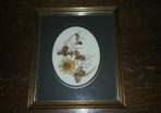Wall Frame with Dried Flowers