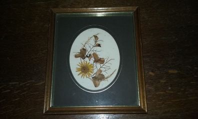 Wall Frame with Dried Flowers
