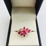 9ct Yellow Gold Ruby & Diamond Cluster Ring Image 2