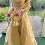 Designer Gold long dress Image 2