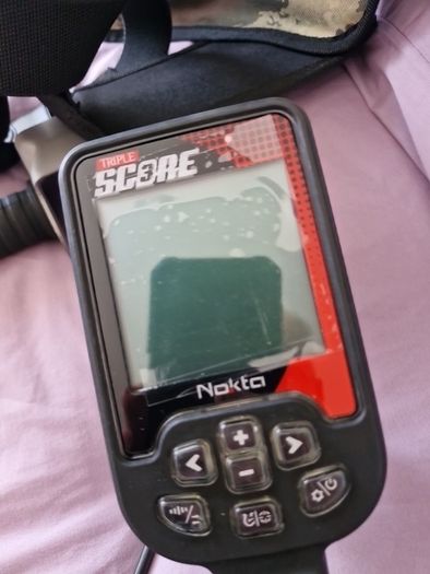 Nokta Metal Detector
