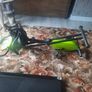 Exercise bike Image 3