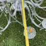 chandelier Image 6