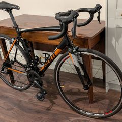 Giant Contend 1