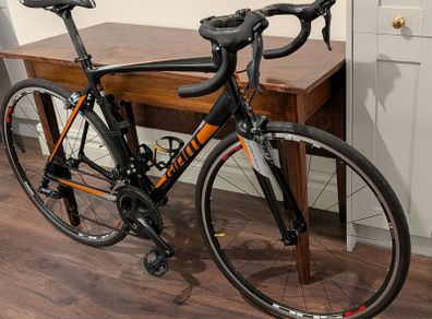 Giant Contend 1