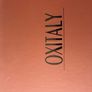 Oxitaly Navy Boots Image 4