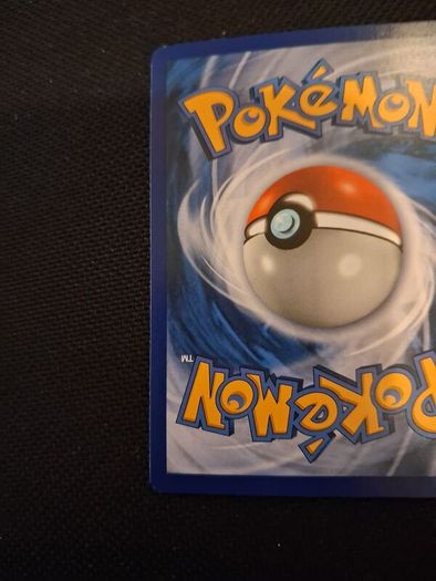 Pokemon Card : Shauna 111a
