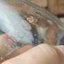 504 - Vintage Clear Glass Cork Top Collectible Decorative Springmount Milk Bottle Image 4