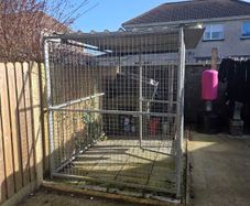 kennel and cage