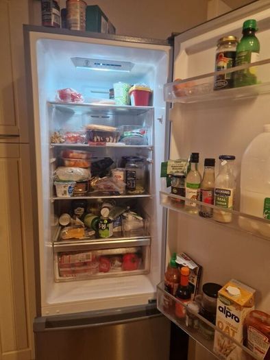 Fridge + freezer, profit goes to my cat, 60/40