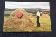 Ireland Postcard : Showing A Farmer with A Pitchfork Saving The Hay