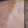 Large Floor Rug Needs Serious Cleaning Image 5