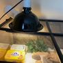 vivarium Image 2