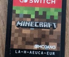 Minecraft Nintendo Switch