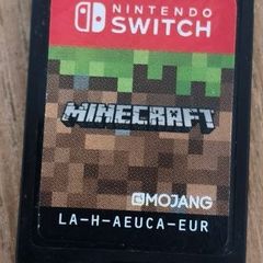 Minecraft Nintendo Switch
