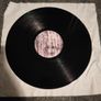 Fergal Sharkey Vinyl Image 3