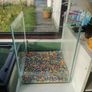 2 tanks Image 2