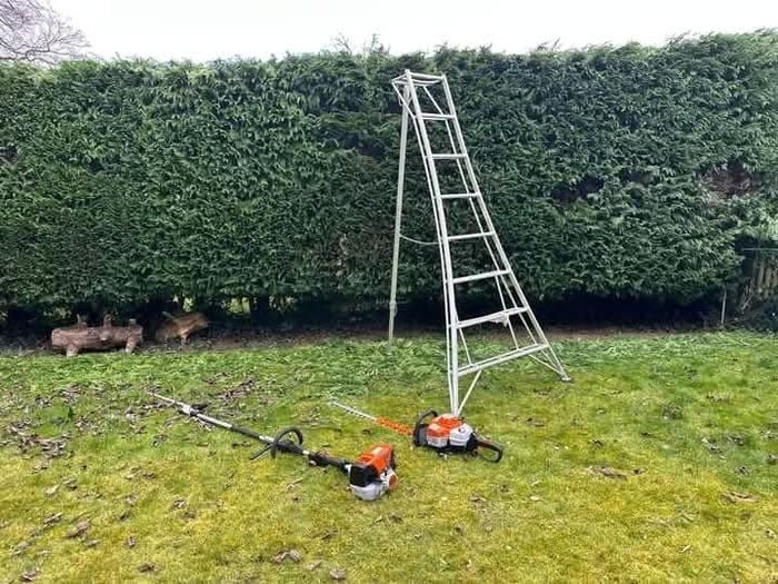 Gardening & Tree Service