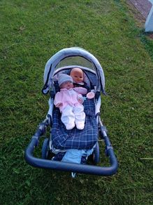 buggy toy